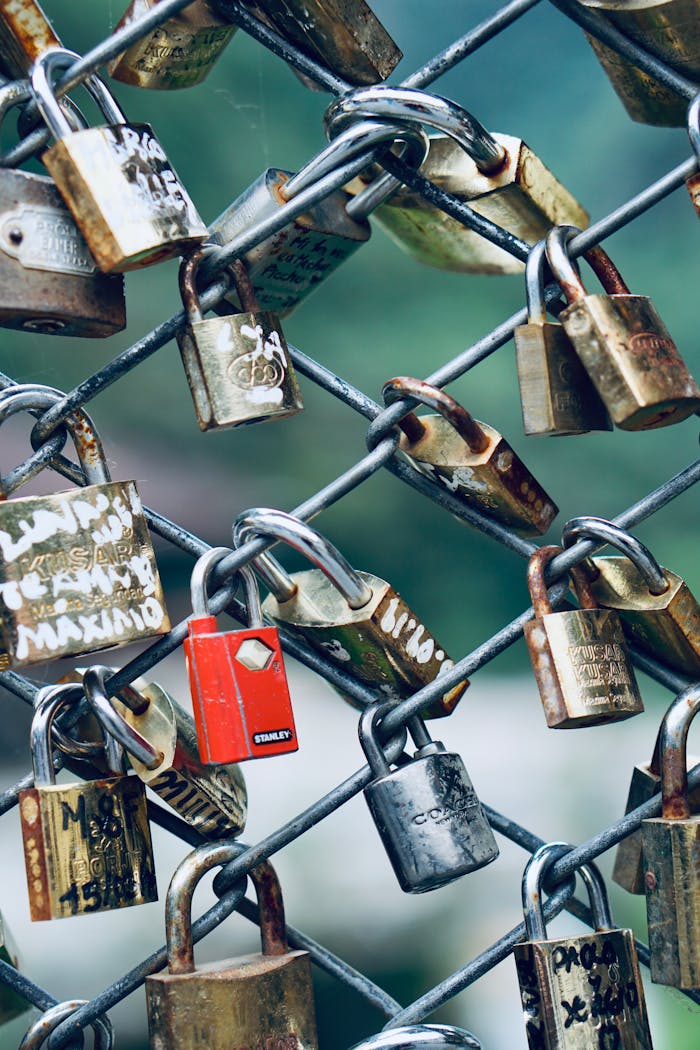 A romantic close-up of padlocks symbolizing love on a metal bridge fence.